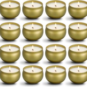 Scented Candles Gifts Set,16 Pack Natural Soy Wax Travel Tin Jar Candles for 2.5 OZ Aromatherapy Candles for Family Gatherings, Festive Candles