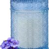 Scented Candle, 15.87oz Violet Amber Fall Candles for Home Scented,Soy Candles,Large Candle Gifts for Men&Women, Long Burning Glass Jar Candle